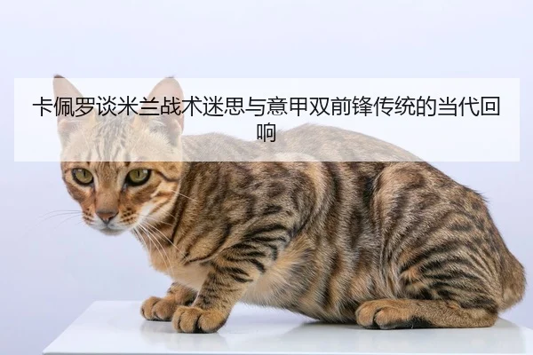 卡佩罗谈米兰战术迷思与意甲双前锋传统的当代回响